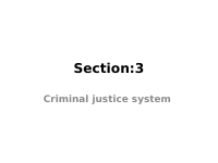 section3-criminal justice system.pptx